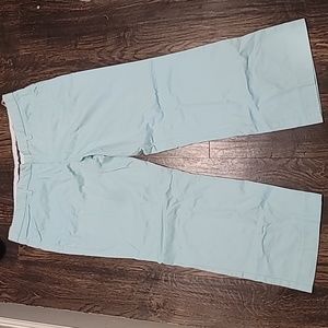 The Limited The Drew Fit 100% Cotton Robins Egg Blue Straight Leg Sz 12